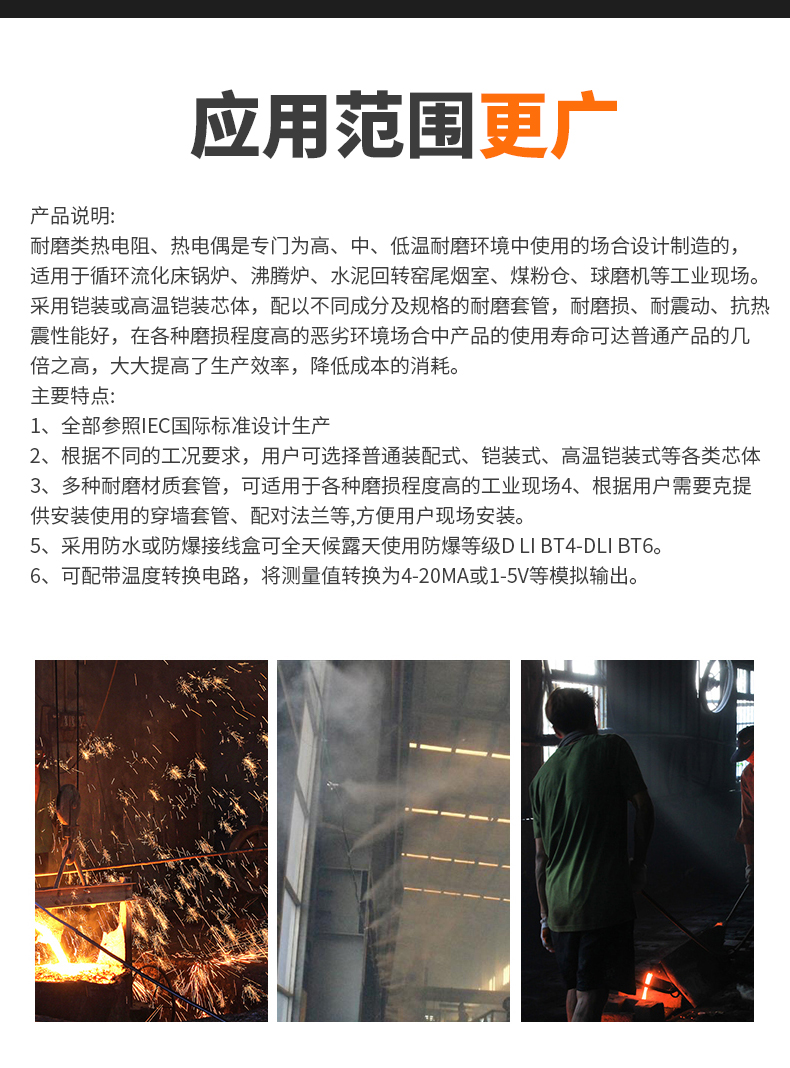 WRNM-131耐磨熱電偶15_http://m.huangmao888.com_溫度儀表_第6張